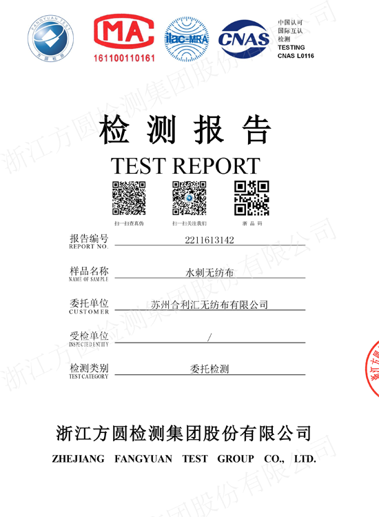 Test raporu
